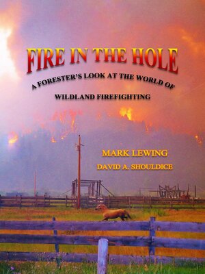 cover image of Fire In the Hole